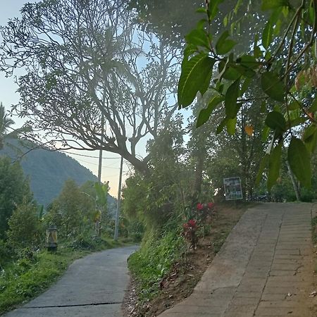 Singaraja Jepun Homestay Lemukih מראה חיצוני תמונה