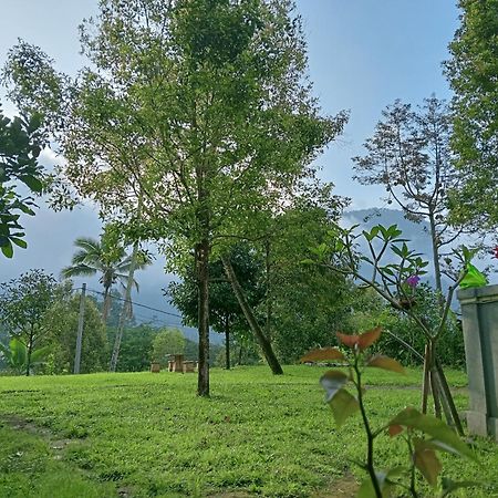 Singaraja Jepun Homestay Lemukih מראה חיצוני תמונה