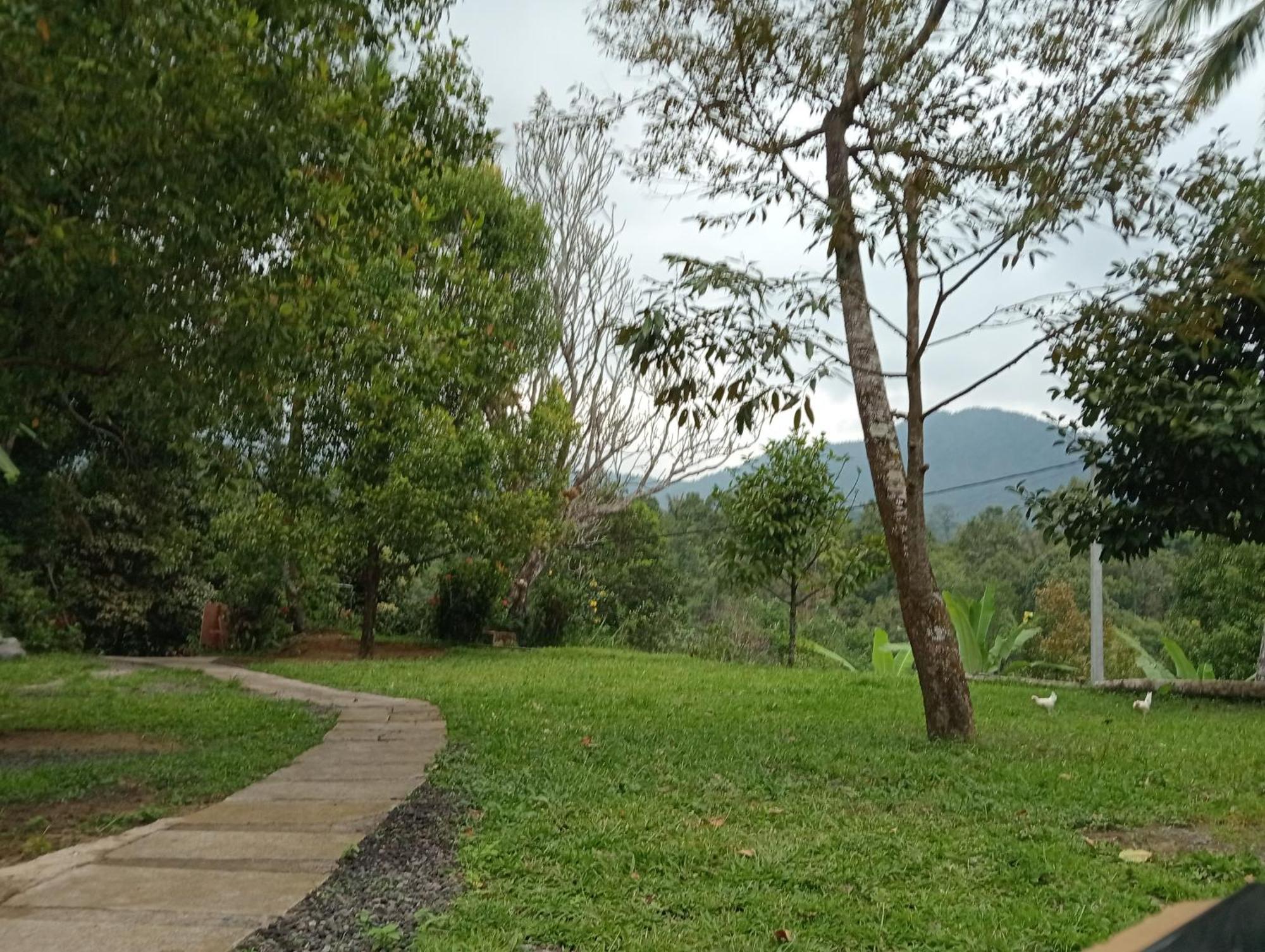 Singaraja Jepun Homestay Lemukih מראה חיצוני תמונה
