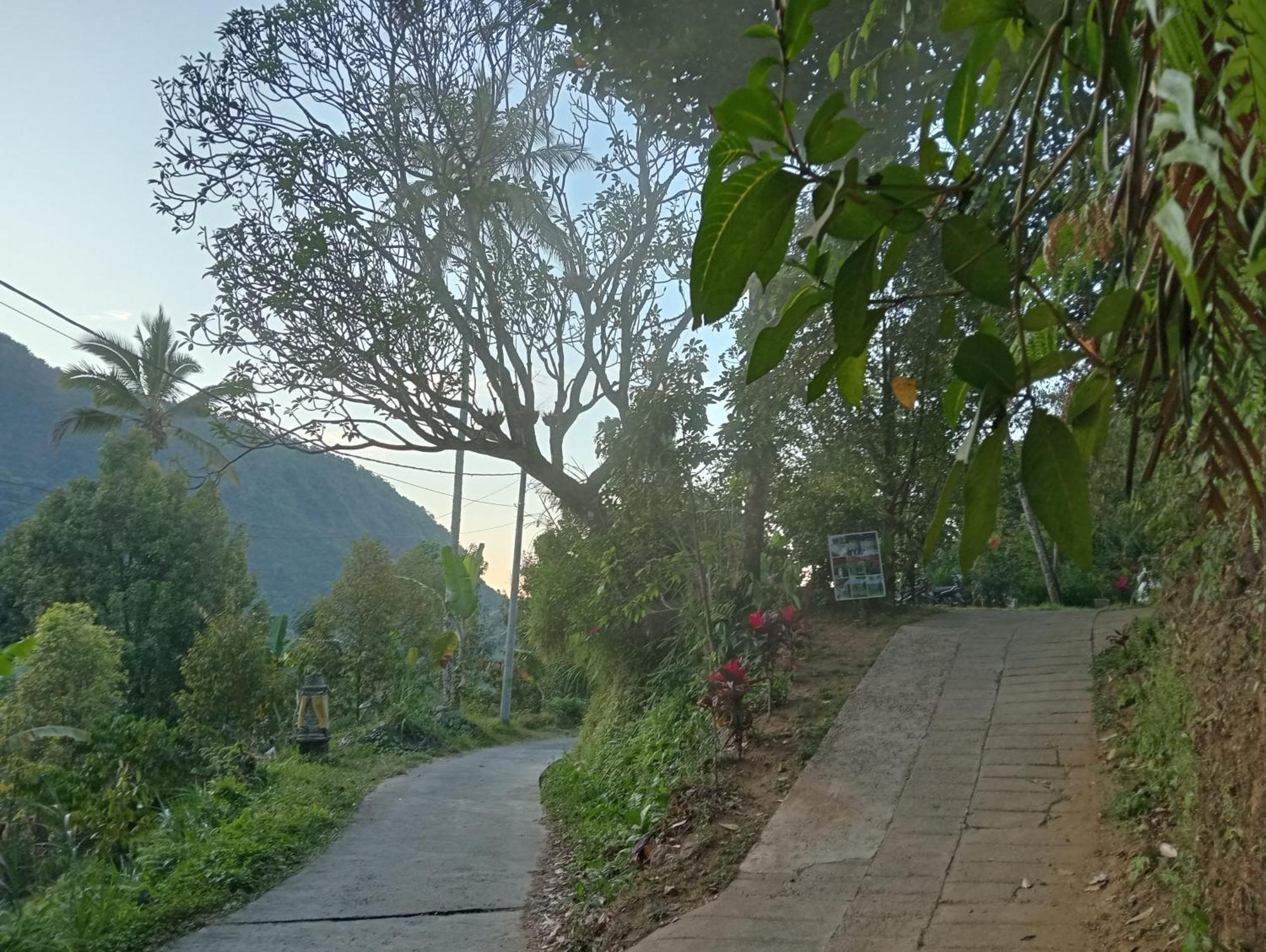 Singaraja Jepun Homestay Lemukih מראה חיצוני תמונה