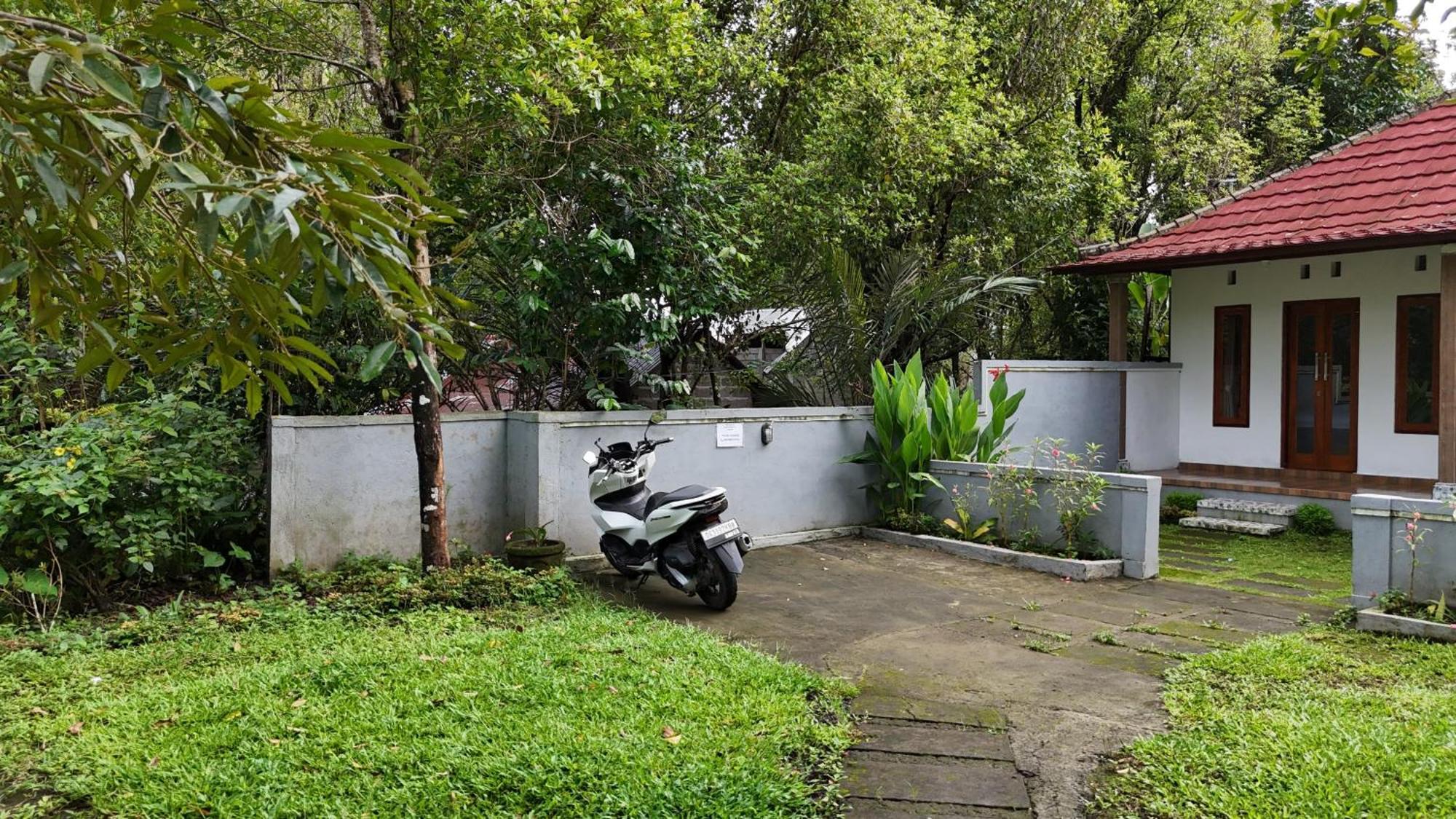 Singaraja Jepun Homestay Lemukih מראה חיצוני תמונה